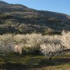 Los campos.